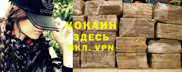 шишки Аркадак