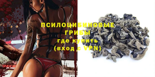 шишки Аркадак