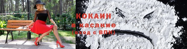 шишки Аркадак