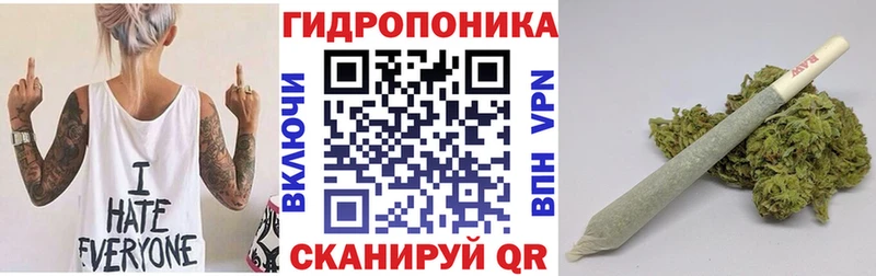 KRAKEN зеркало  закладка  Североуральск  Бошки Шишки индика 